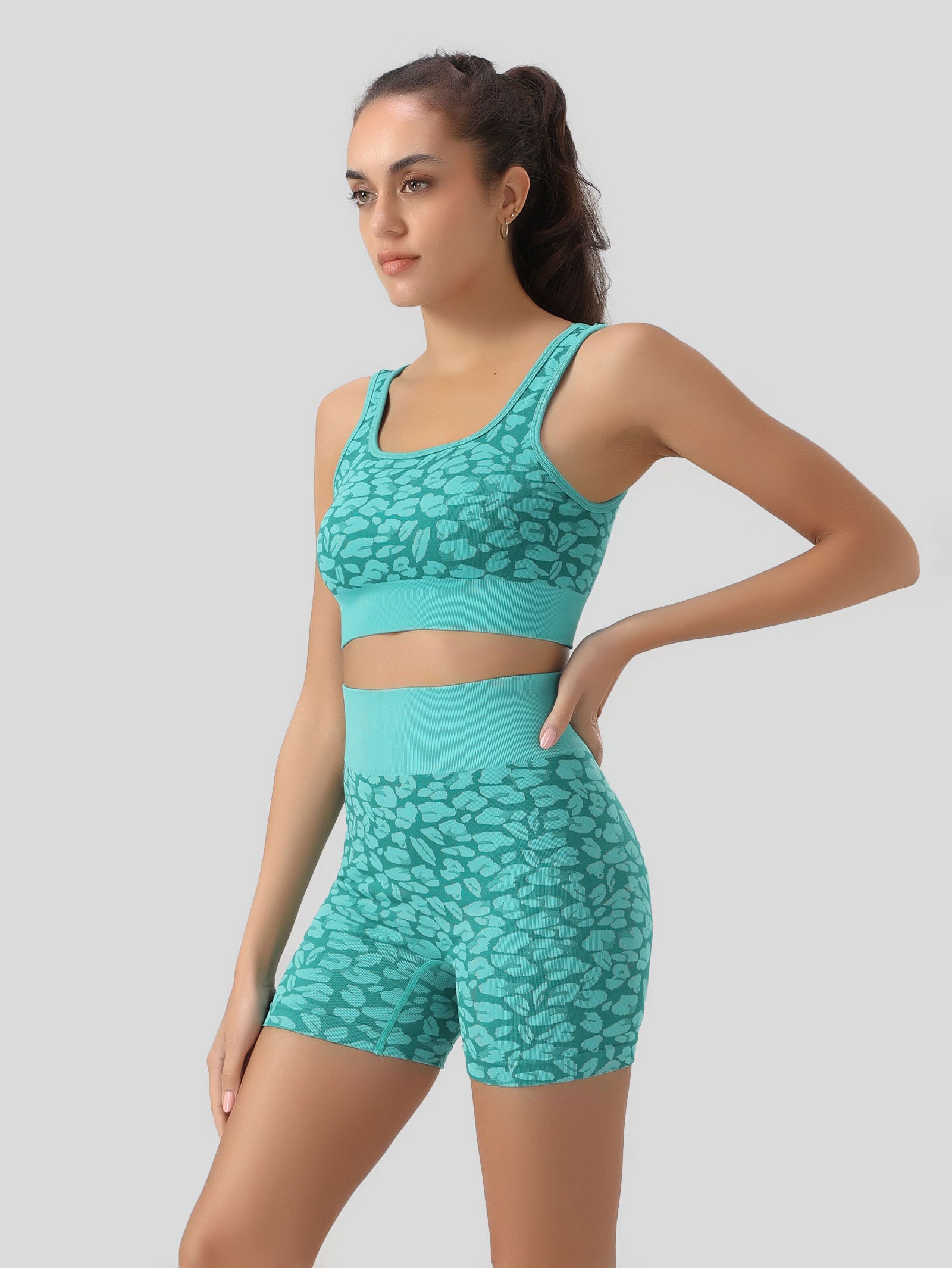 Leopard Print Crop Tank Top & Shorts
